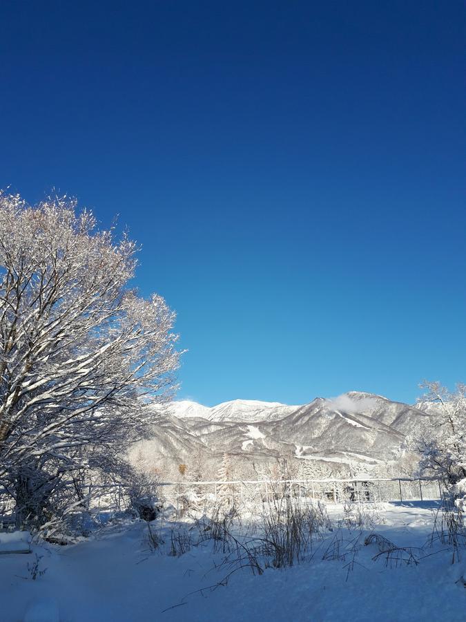 Pension Snow Хакуба-Мура Экстерьер фото